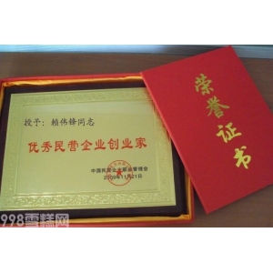 公司领导荣誉