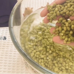 绿豆沙雪糕的做法（介绍绿豆雪糕这样做才好吃）