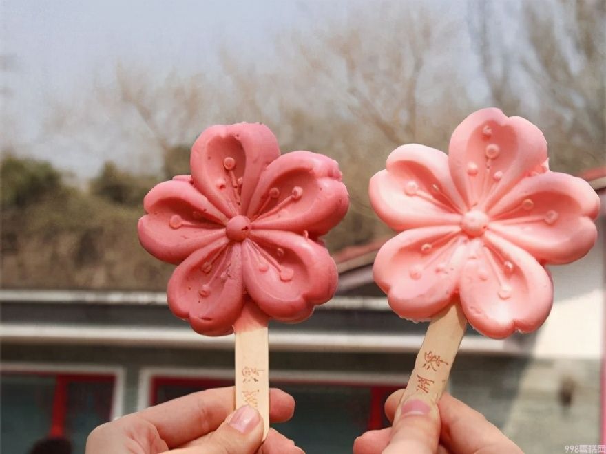 钟薛高，梦龙，你更喜欢什么雪糕(2)